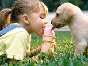 girl eats ice cream with a dog and gets infected with parasites